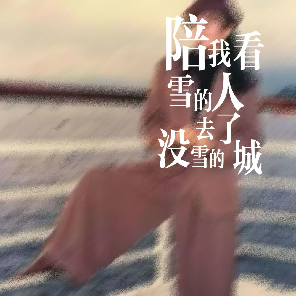 陪我看雪的人去了没雪的城 (伴奏)