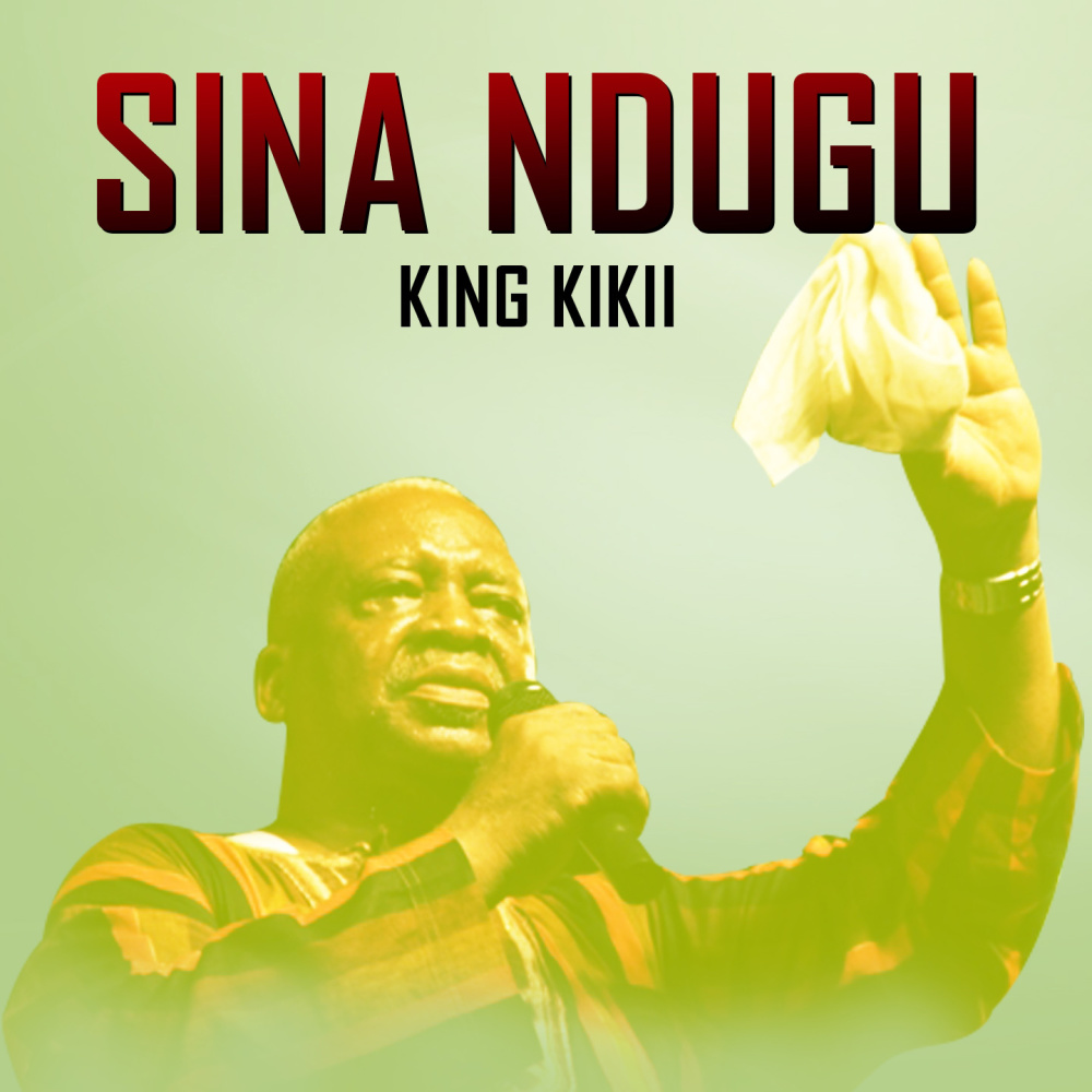 Sina Ndugu