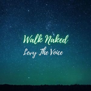 Album Walk Naked from Levy The Voice