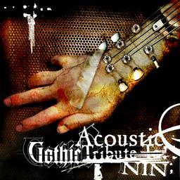 Terrible Lie (Cover Version)