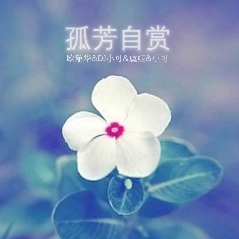 我跟你说再笑打掉你的牙 (Remix)
