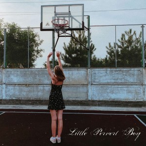 Album Но в моё море лишь xan'ы ныряли from Little Pervert Boy