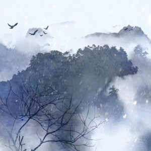 Listen to 倾风 (完整版) song with lyrics from SummerYixi