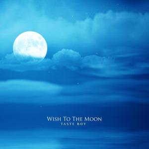 Album Wish To The Moon from Taste Boy
