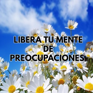 To Relaxing的專輯Libera tu mente de preocupaciones