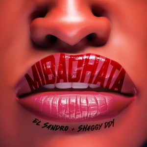 Listen to Mi Bachata song with lyrics from El Sandro