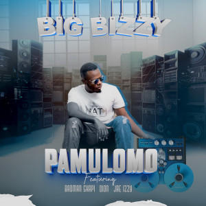 Listen to Pamulomo song with lyrics from Big Bizzy