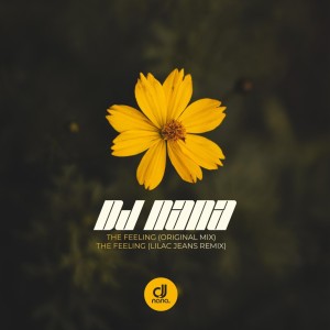 Listen to The Feeling song with lyrics from DJ Nana
