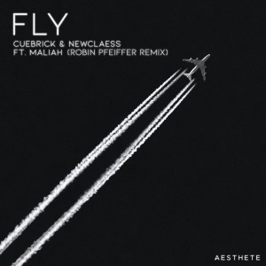 收听Cuebrick的Fly (Robin Pfeiffer Remix)歌词歌曲