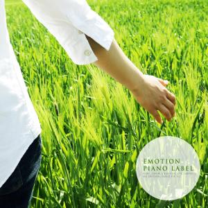 Dengarkan The Sea With You lagu dari 바다소녀 dengan lirik