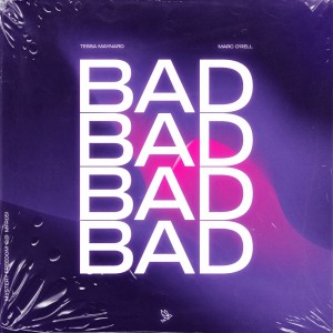 Listen to Bad (Radio Mix) song with lyrics from Tessa Maynard