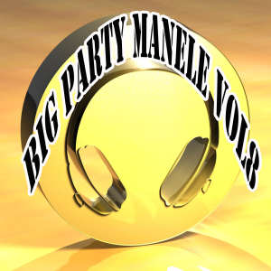 Various Artists的專輯Big Party Manele, Vol. 8