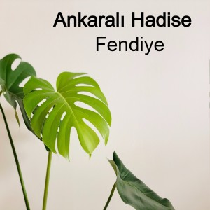 Album Fendiye from Ankaralı Hadise