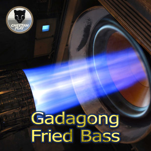 Dengarkan Fried Bass (Original) lagu dari Gadagong dengan lirik