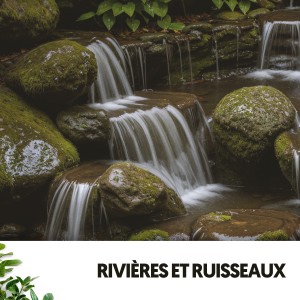 Rivers and Streams的專輯Rivières et Ruisseaux : Mélodies de la Tempête