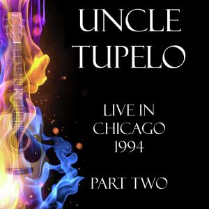 Listen to We've Been Had (Live) song with lyrics from Uncle Tupelo