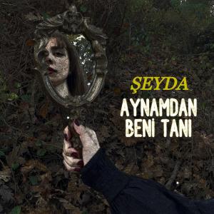 Şeyda的專輯Aynamdan Beni Tanı