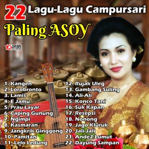 Various Artist的專輯22 Lagu Lagu Campursari Paling Asoy