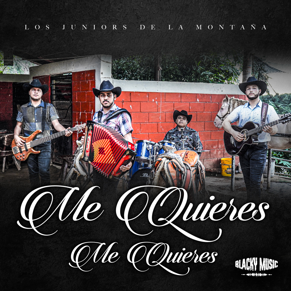 Me Quieres Me Quieres