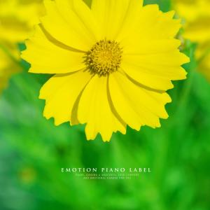 Listen to 투명한 눈송이 song with lyrics from 조민준