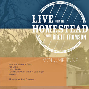 Dengarkan How Not to Give a Damn (Live) lagu dari Brett Fromson dengan lirik
