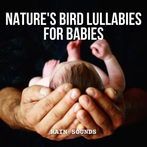 Baby Shusher的专辑Rain Sounds: Nature's Bird Lullabies for Babies