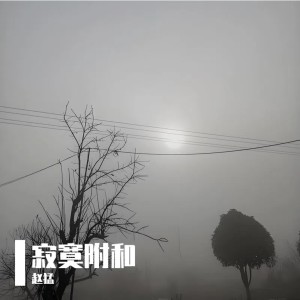 Album 寂寞附和 from 赵猛