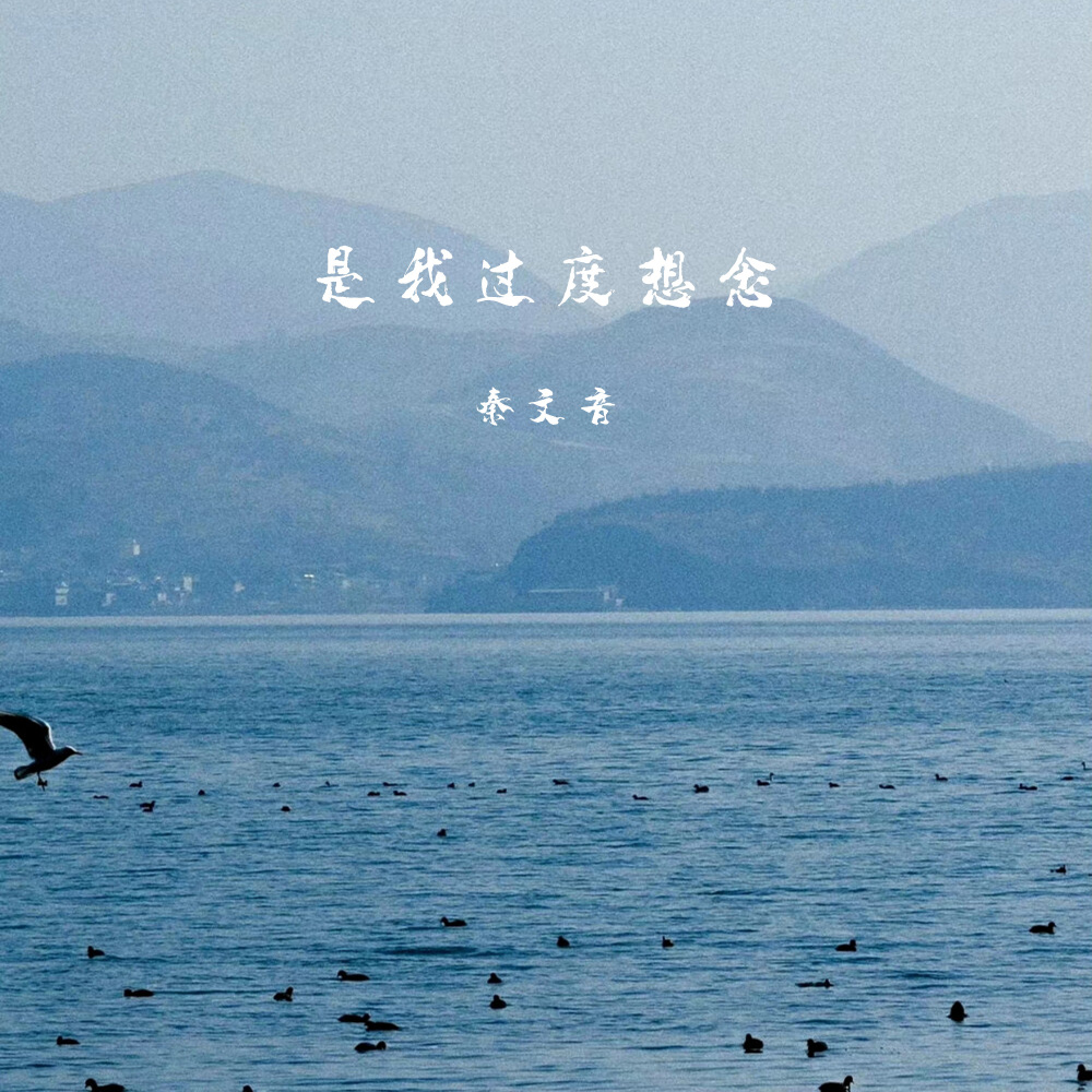 是我过度想念 (伴奏)