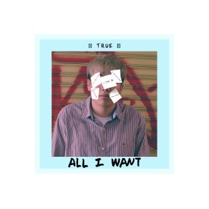 Album All I Want from True