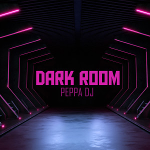 PEPPA DJ的专辑Dark Room