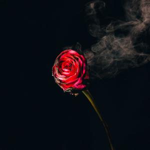 Dengarkan A Girl In Love (feat. Leo Music) lagu dari Srishti dengan lirik