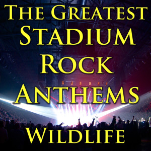 Listen to (I Can't Get No) Satisfaction song with lyrics from Wildlife