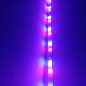 收聽Geniako Music的Bellakeo (feat. Richweed)歌詞歌曲