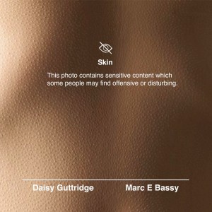 Album Skin oleh Marc E. Bassy
