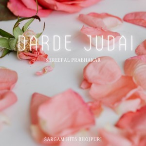 Shreepal Prabhakar的专辑Darde Judai