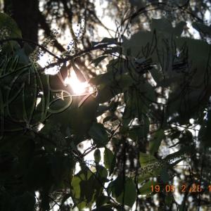 Ephraim的專輯Whatusaid