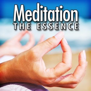 ดาวน์โหลดและฟังเพลง The Peace Within You for Peace of Mind at Your Meditation Station พร้อมเนื้อเพลงจาก Meditation