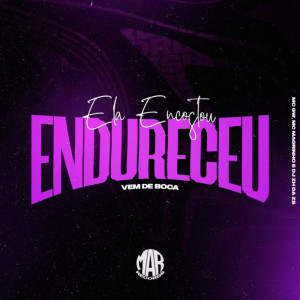 Album ELA ENCOSTOU ENDURECEU - VEM DE BOCA (Explicit) oleh MC GW