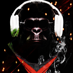 Dengarkan The Jungle lagu dari Mr. Darius dengan lirik