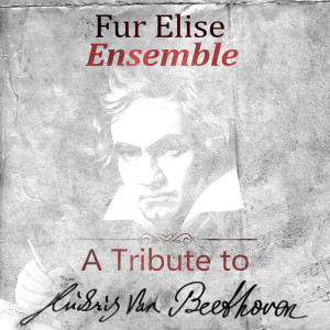 อัลบัม A Tribute To Ludwig van Beethoven ศิลปิน Fur Elise Ensemble