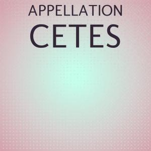 Various Artists的專輯Appellation Cetes