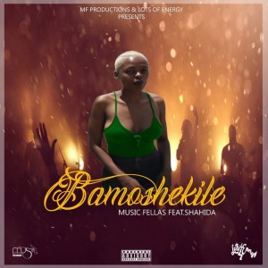 Album Bamoshekile from Music Fellas