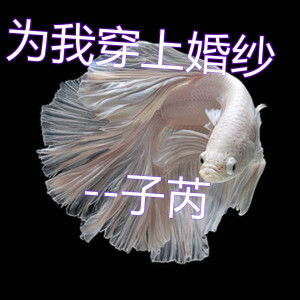 Listen to 为我穿上婚纱 song with lyrics from 子芮