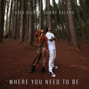 Alex Milani的專輯Where You Need To Be (feat. Sunny Kalama, Vince Esquire & Don Lopez)