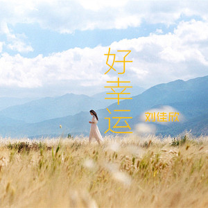 收听刘佳欣的大王歌歌词歌曲