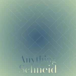 Various Artists的專輯Anything Schneid