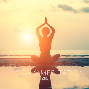 Binaural Música Para Sono Profundo的專輯Meditation & Yoga