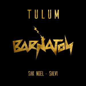 Album Tulum oleh Salvi