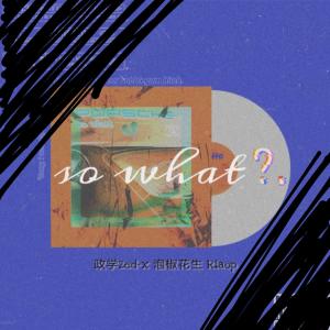 So What? dari 政学(Zed-X)