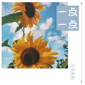 小月弟弟的专辑一点一点